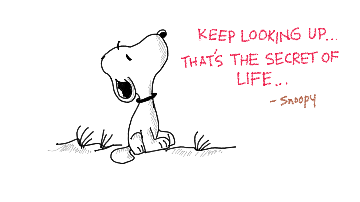 See the source image